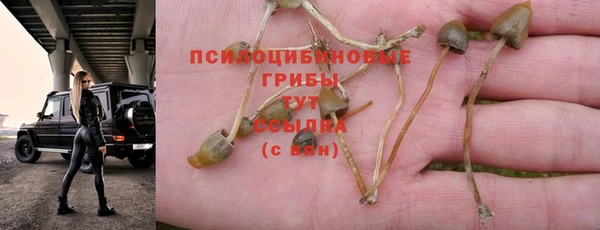 мяу мяу кристалл Дмитровск
