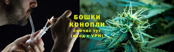 ECSTASY Гусь-Хрустальный