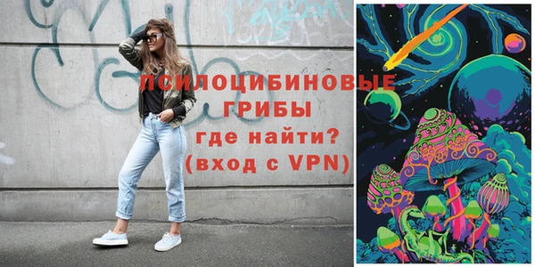 ECSTASY Гусь-Хрустальный