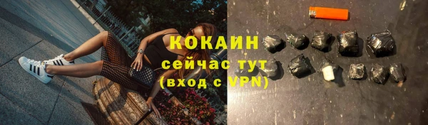 ECSTASY Гусь-Хрустальный